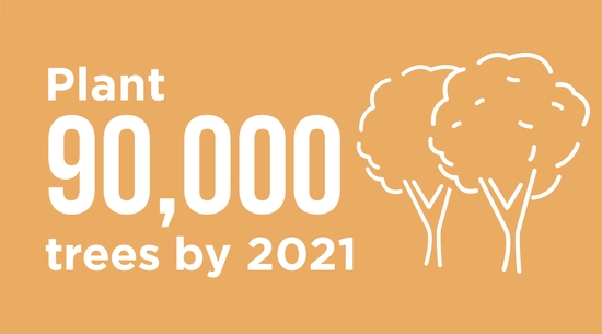Plant 90,000 trees